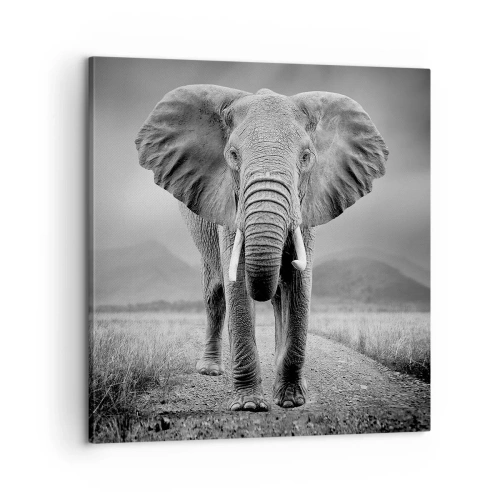 Obraz na plátně - Hostitel vítá - 60x60 cm