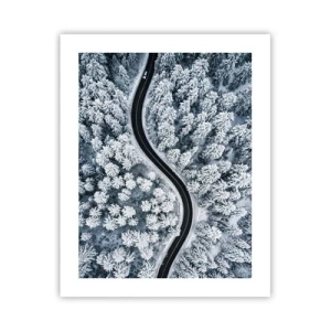 Plakát - Zimním lesem - 40x50 cm