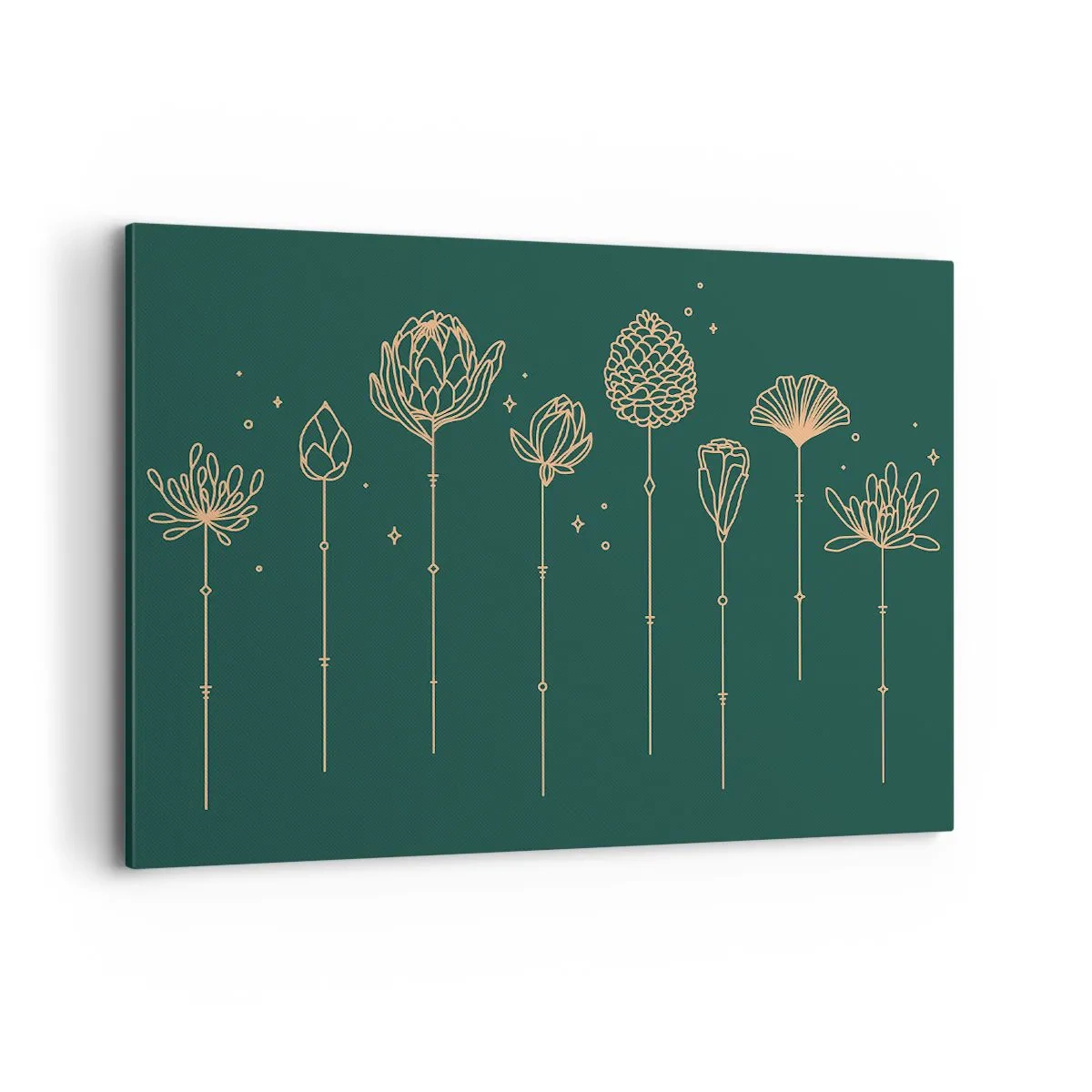 Obraz na plátně - Bylinky - 100x70 cm