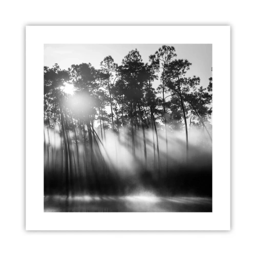 Plakát - Nezastavitelné slunce - 40x40 cm