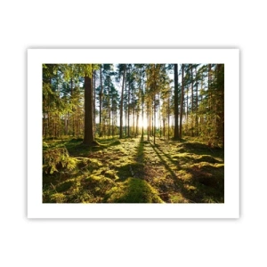 Plakát - …Za sedmero lesy - 50x40 cm