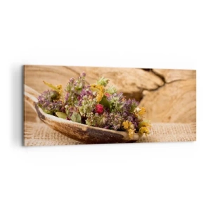Obraz na plátně - Barevné kvítí a voňavé bylinky - 100x40 cm