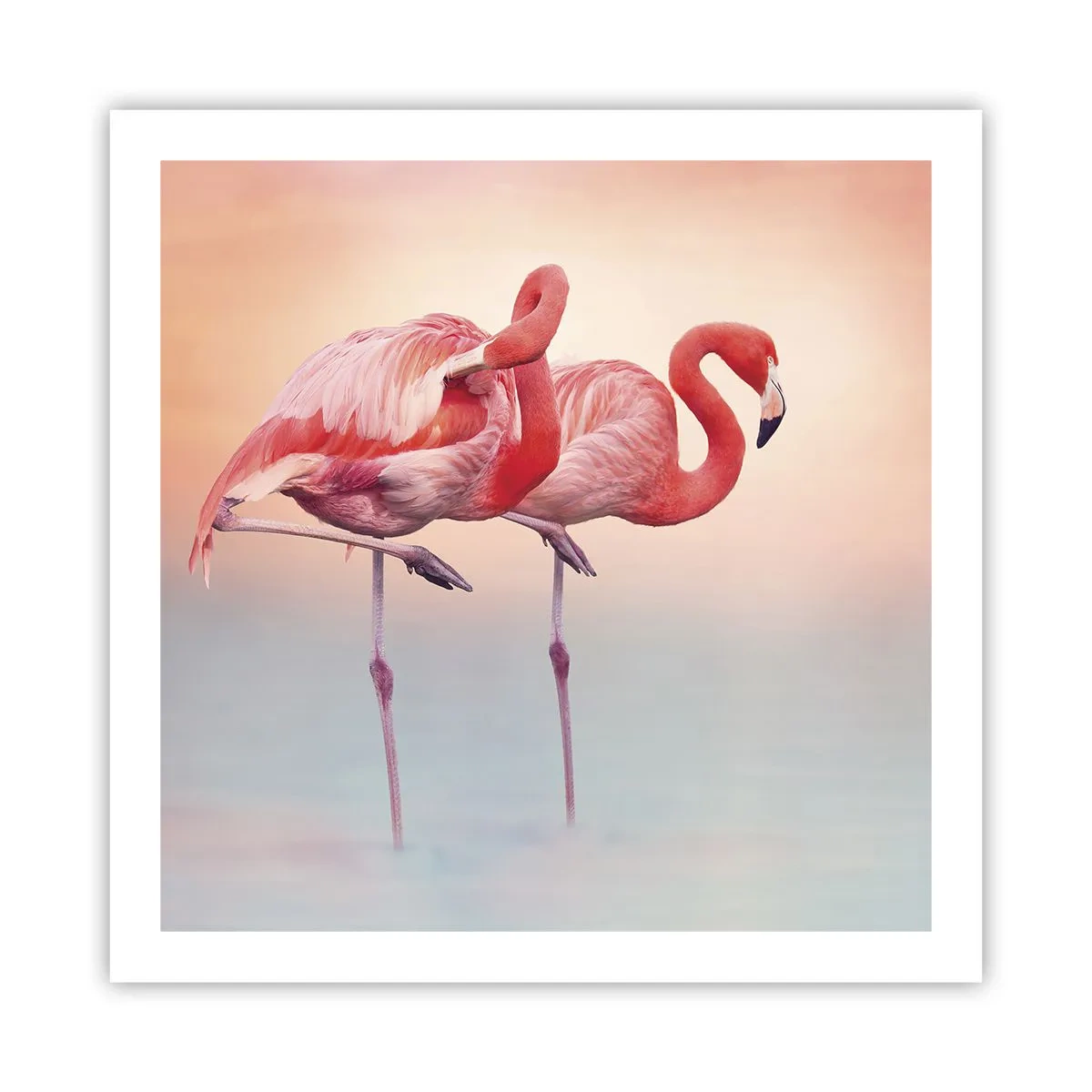 Plakát - V barvě zapadajícího slunce - 60x60 cm