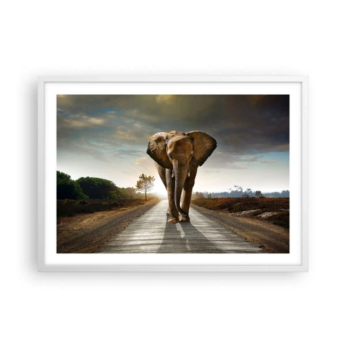 Plakát v bílém rámu - A vůbec ne ve skladu porcelánu - 70x50 cm