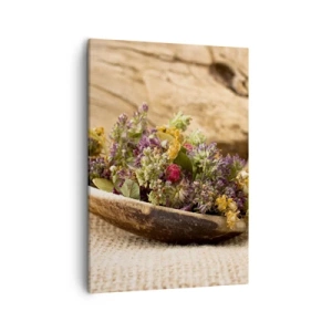 Obraz na plátně - Barevné kvítí a voňavé bylinky - 50x70 cm