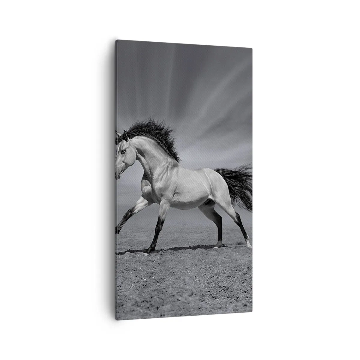 Obraz na plátně - Zrozen pro potěšení - 55x100 cm