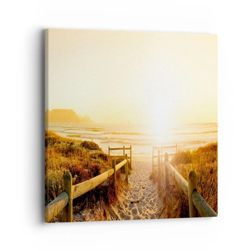 Obraz na plátně - Dunami směrem ke slunci - 40x40 cm