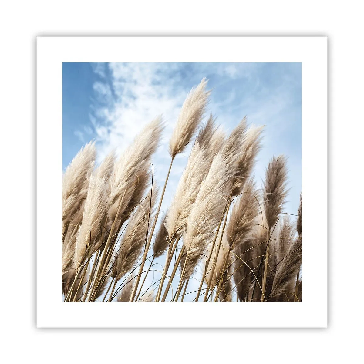 Plakát - Slunečné a větrné pohlazení - 40x40 cm