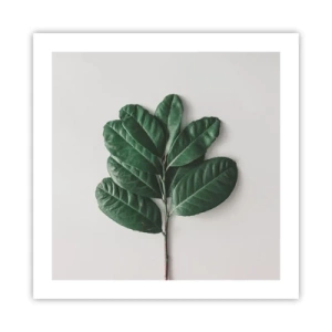 Plakát - Kresba samotné přírody - 50x50 cm