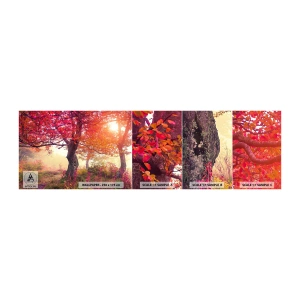 Vzor Fototapety Samolepicí Deluxe Sticker - Šílenství rozkvětu - Krajina, Park, Květiny - 100x30 cm