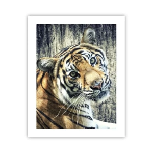 Plakát - Portrét v pramenech světla - 40x50 cm