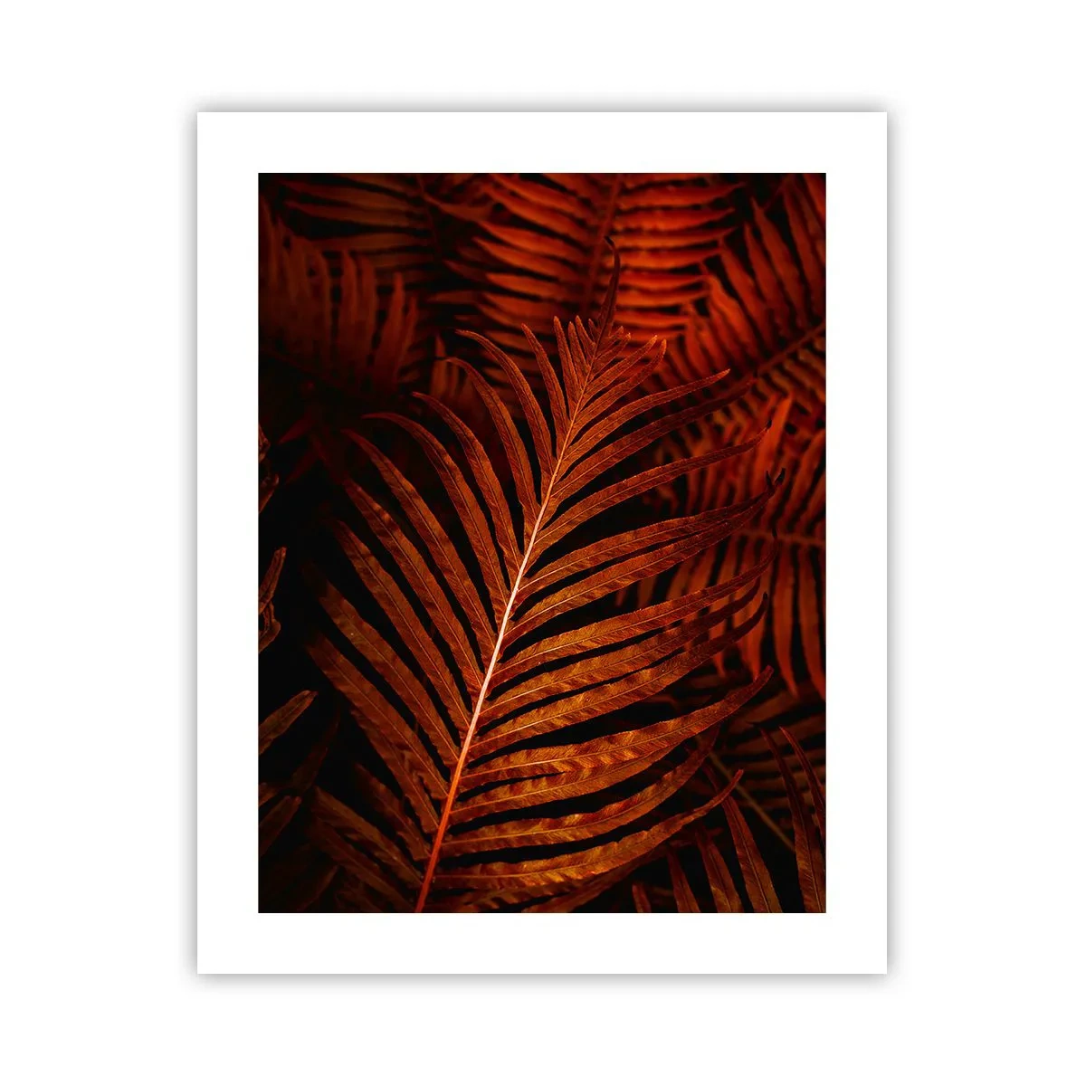 Plakát - Žár života - 40x50 cm