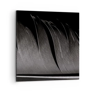 Obraz na plátně - Peří – nádherná konstrukce - 60x60 cm