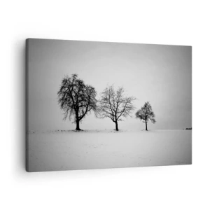 Obraz na plátně - Tři stromy v zasněženém poli v monochromatickém stylu - 70x50cm - O čem sní? - Moderní nástěnná dekorace do obývacího pokoje a ložnice ARTTOR