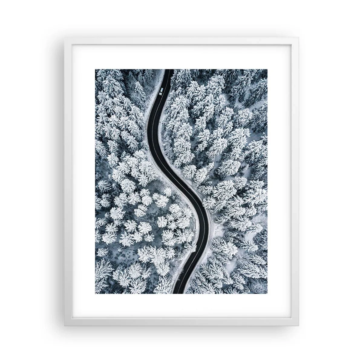 Plakát v bílém rámu - Zimním lesem - 40x50 cm