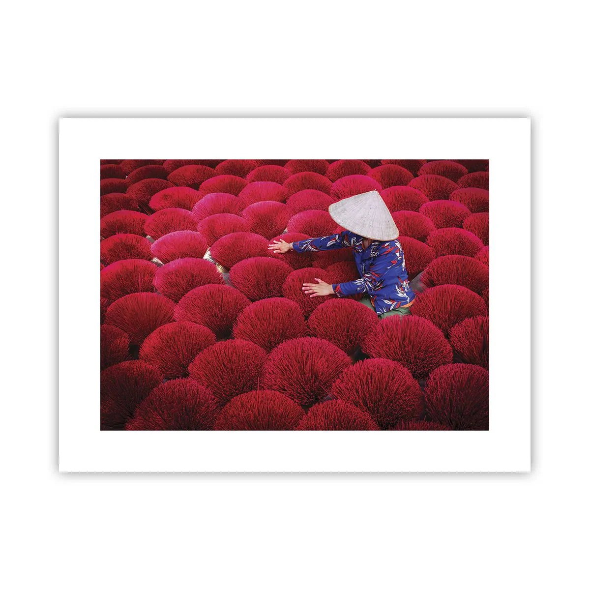 Plakát - Na rýžovém poli - 40x30 cm