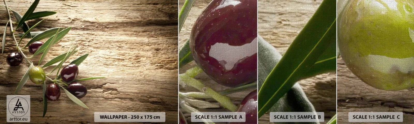 Vzor Fototapety Premium Canvas - Přímo od přírody - Olivová ratolest, Příroda, Olivy - 100x30 cm