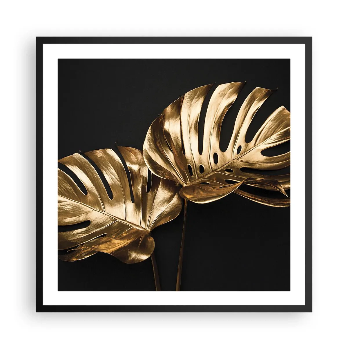 Plakát v černém rámu - Poklady přírody - 60x60 cm