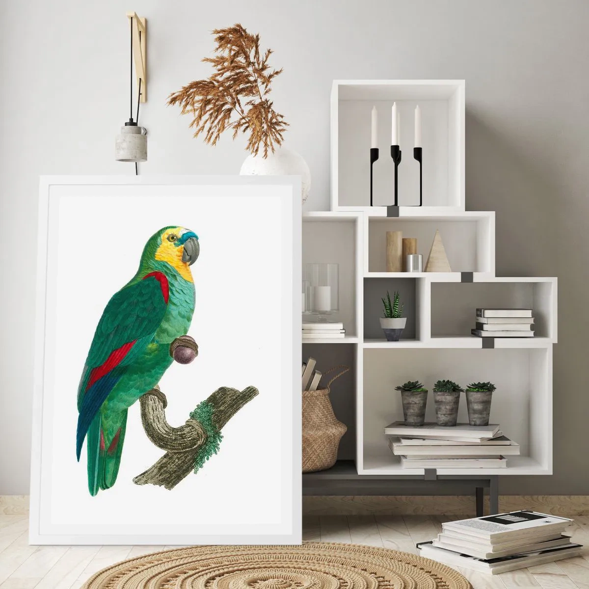 Plakát v bílém rámu - Portrét papouška - 50x70 cm