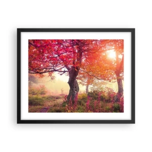 Plakát v černém rámu - Šílenství rozkvětu - 50x40 cm