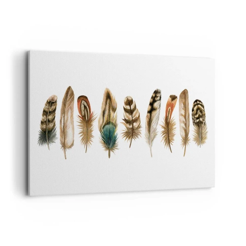 Obraz na plátně - Opeřená variace - 120x80 cm