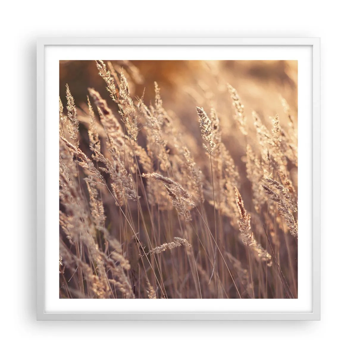 Plakát v bílém rámu - Připraveni přivítat podzim - 60x60 cm