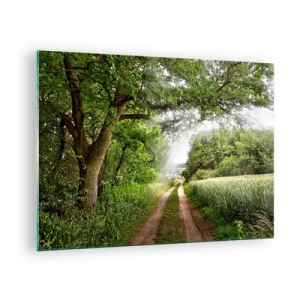 Obraz na skle - Lesní cesta obklopená zelení v paprscích slunce - 70x50cm - Et in Arcadia ego - Moderní nástěnná dekorace do obývacího pokoje a ložnice ARTTOR