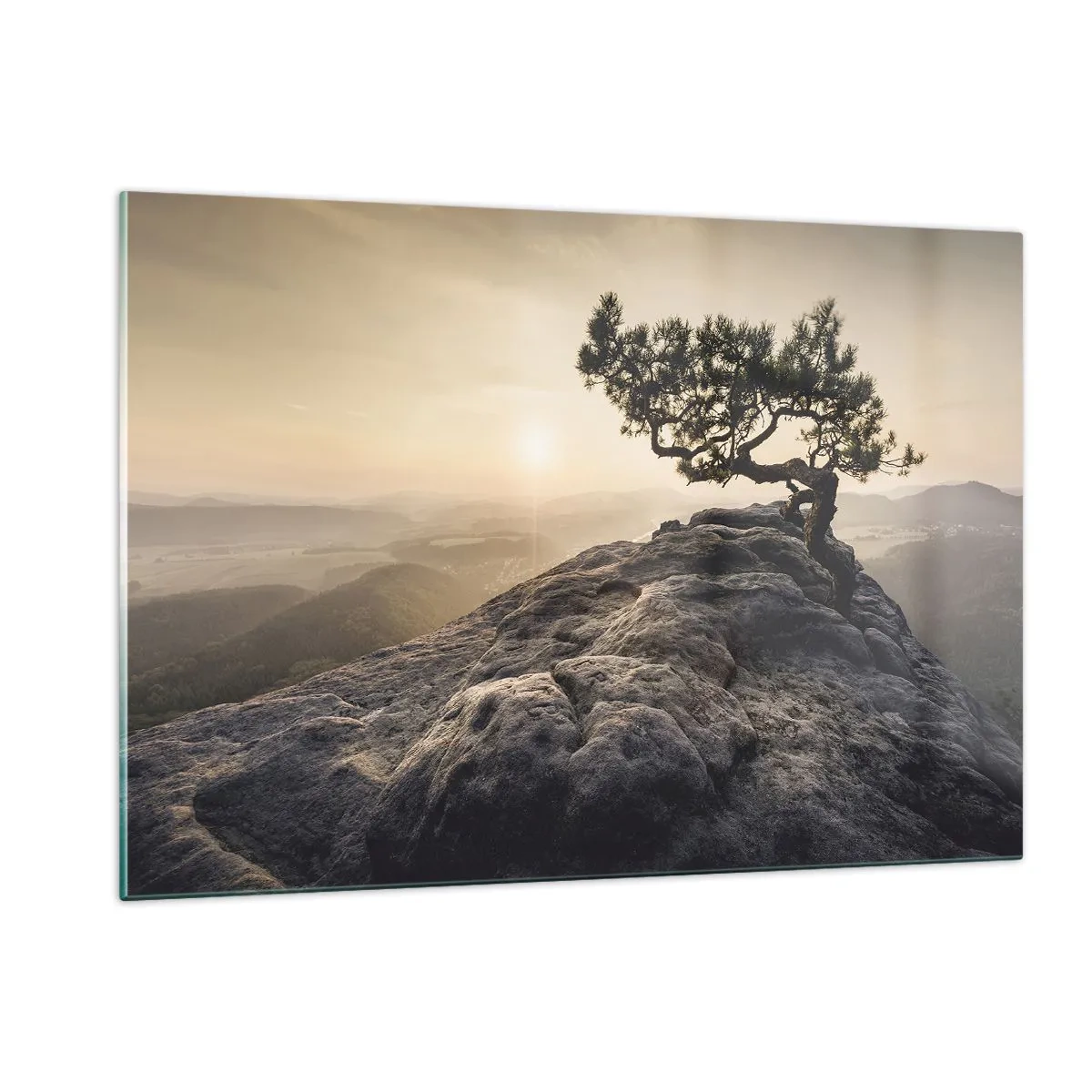 Obraz na skle - Život vždy vítězí - 120x80 cm