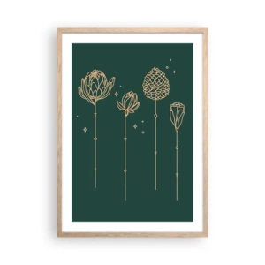 Plakát v rámu světlý dub - Bylinky - 50x70 cm