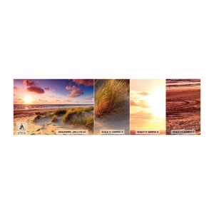 Fototapeta Vzorek Standard Eco - Už v létě voní vzduch - Krajina, Pláž, Duna - 100x30 cm