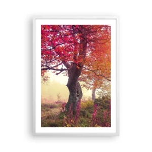 Plakát v bílém rámu - Šílenství rozkvětu - 50x70 cm