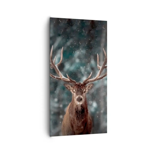 Obraz na plátně - Skutečný král lesa - 65x120 cm