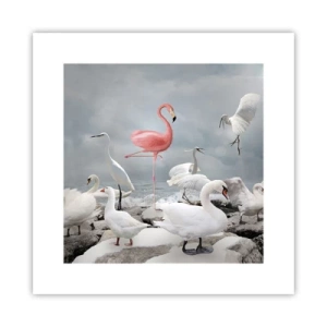 Plakát - Kde jsem se tu vzal? - 30x30 cm