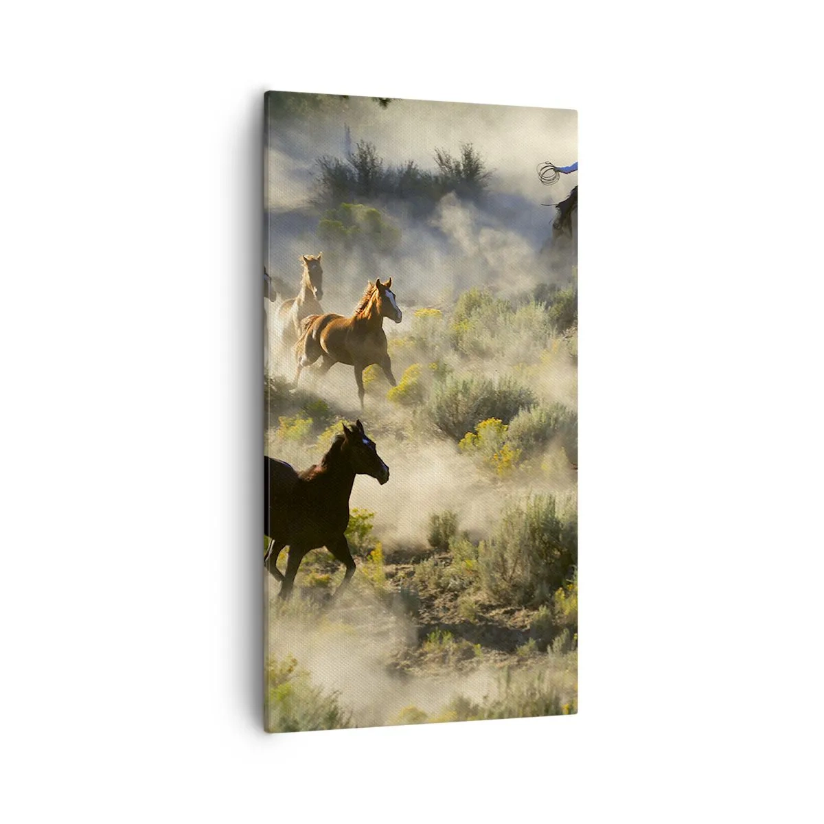 Obraz na plátně - Rivalita - svoboda nebo mužská síla? - 55x100 cm