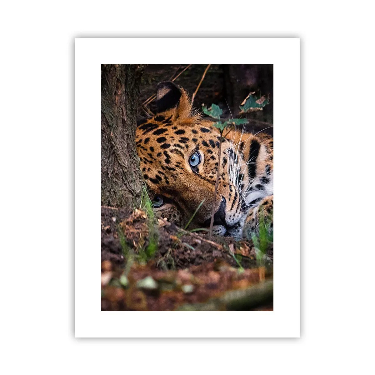 Plakát - Věř mi - 30x40 cm