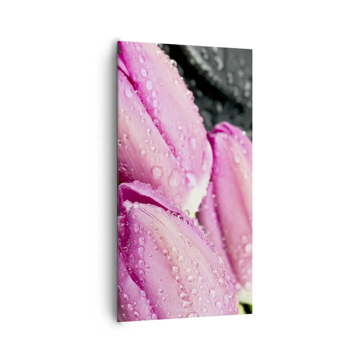 Obraz na plátně - Liliová trojice na černém kameni - 65x120 cm