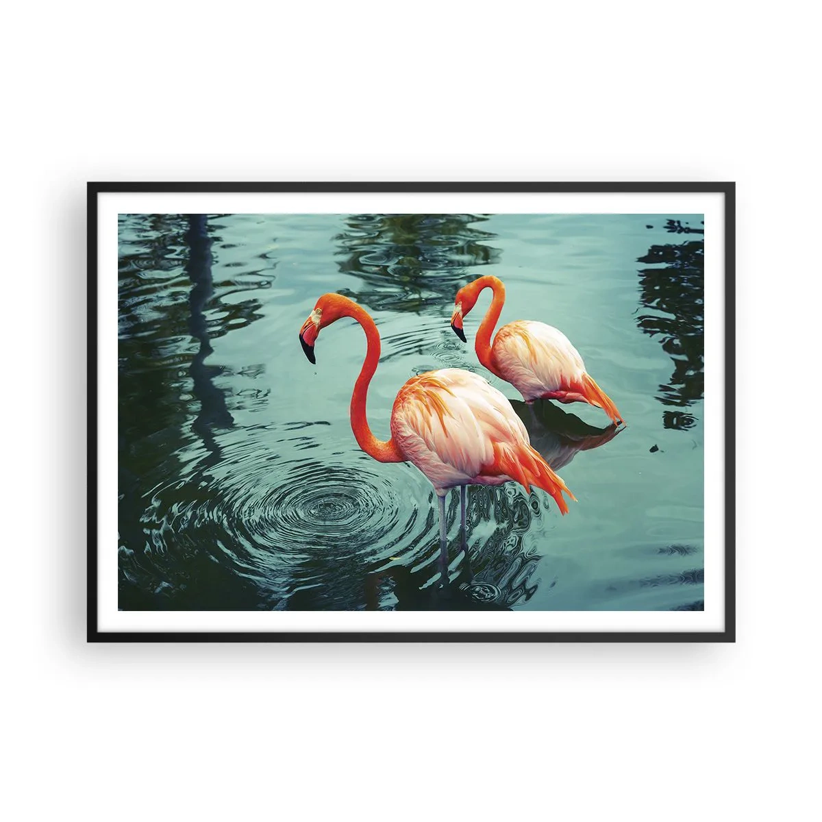 Plakát v černém rámu - Nyní jsme v módě - 100x70 cm
