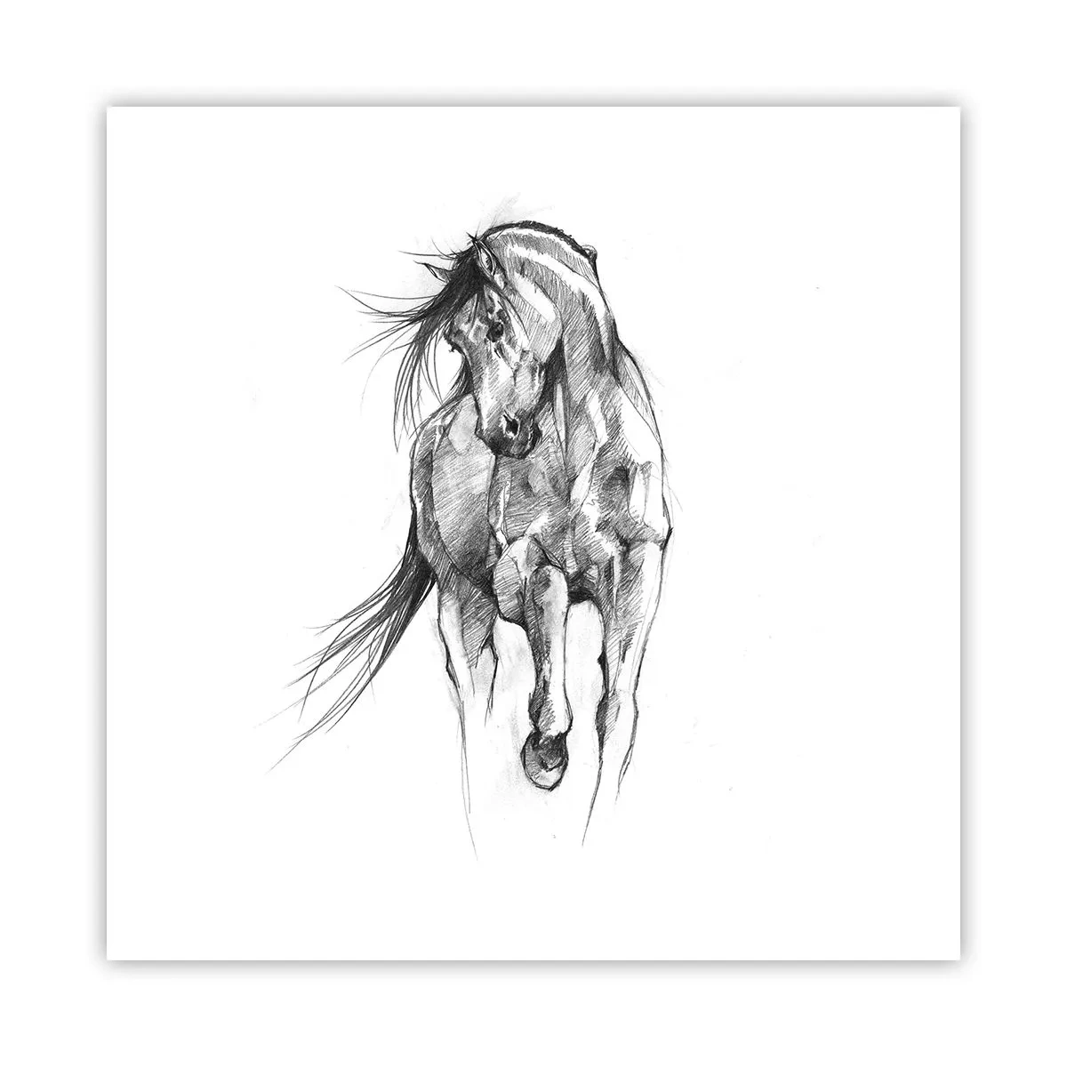 Plakát - V ladném klusu - 50x50 cm