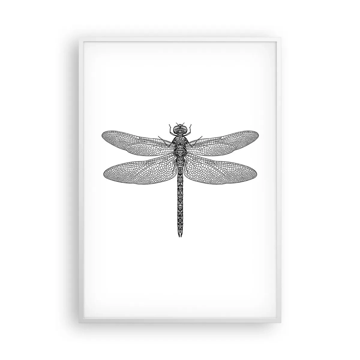 Plakát v bílém rámu - Přesnost přírody - 70x100 cm