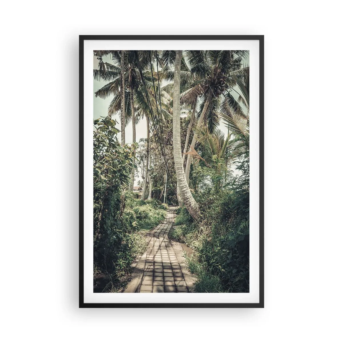 Plakát v černém rámu - Palmová alej - 61x91 cm