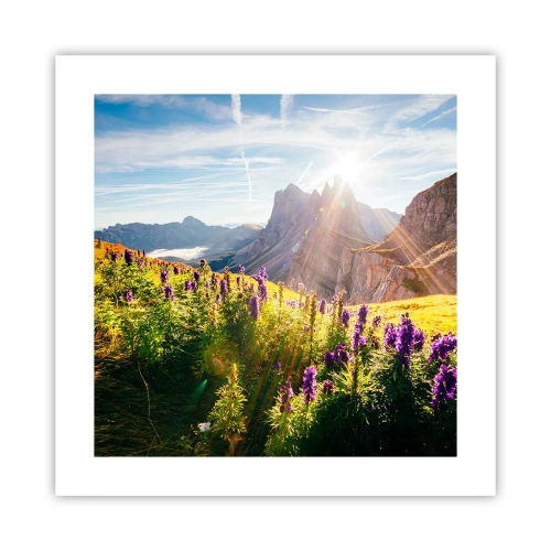 Plakát - Tajemný život bylin - 40x40 cm