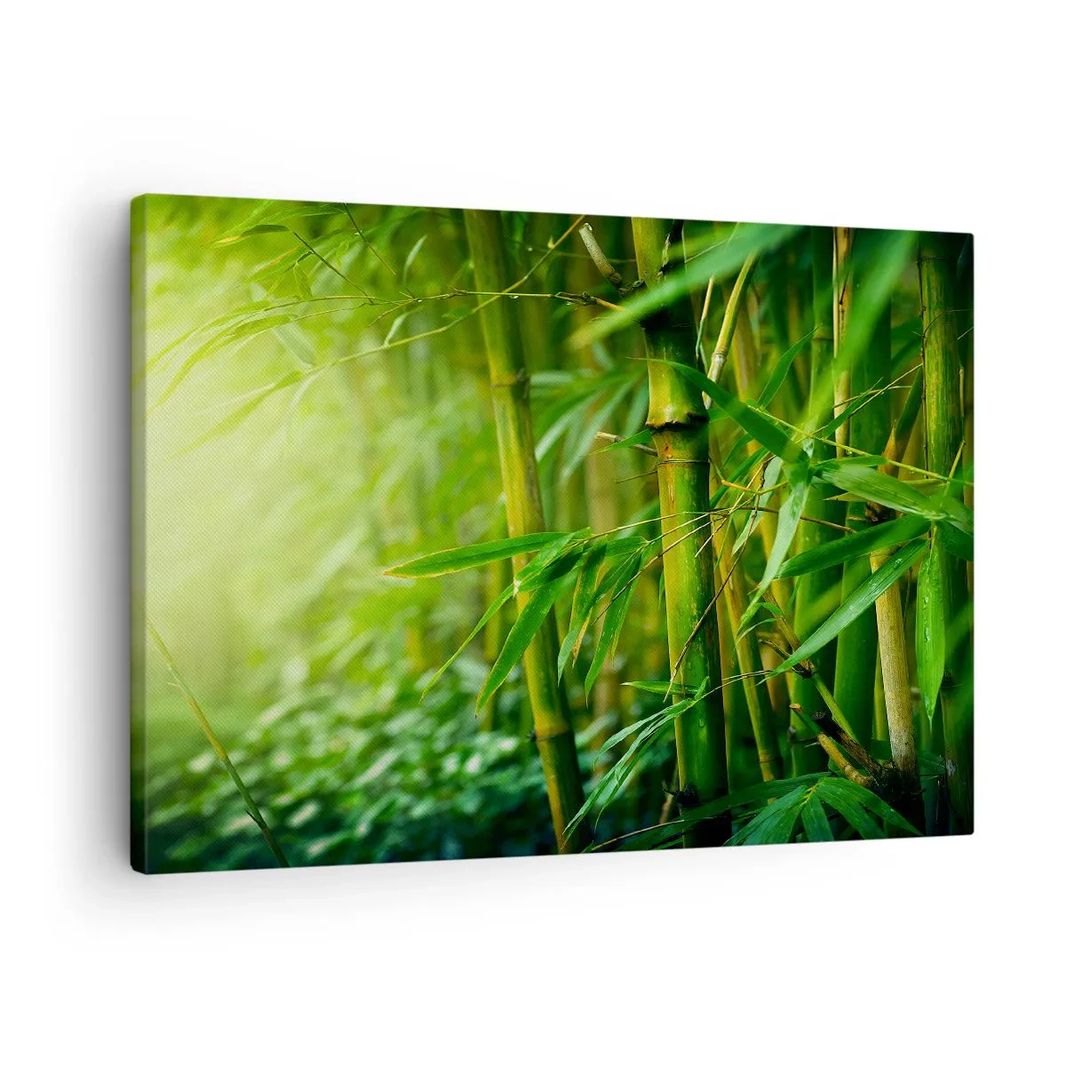 Obraz na plátně - Poznat samotnou zeleň - 70x50 cm