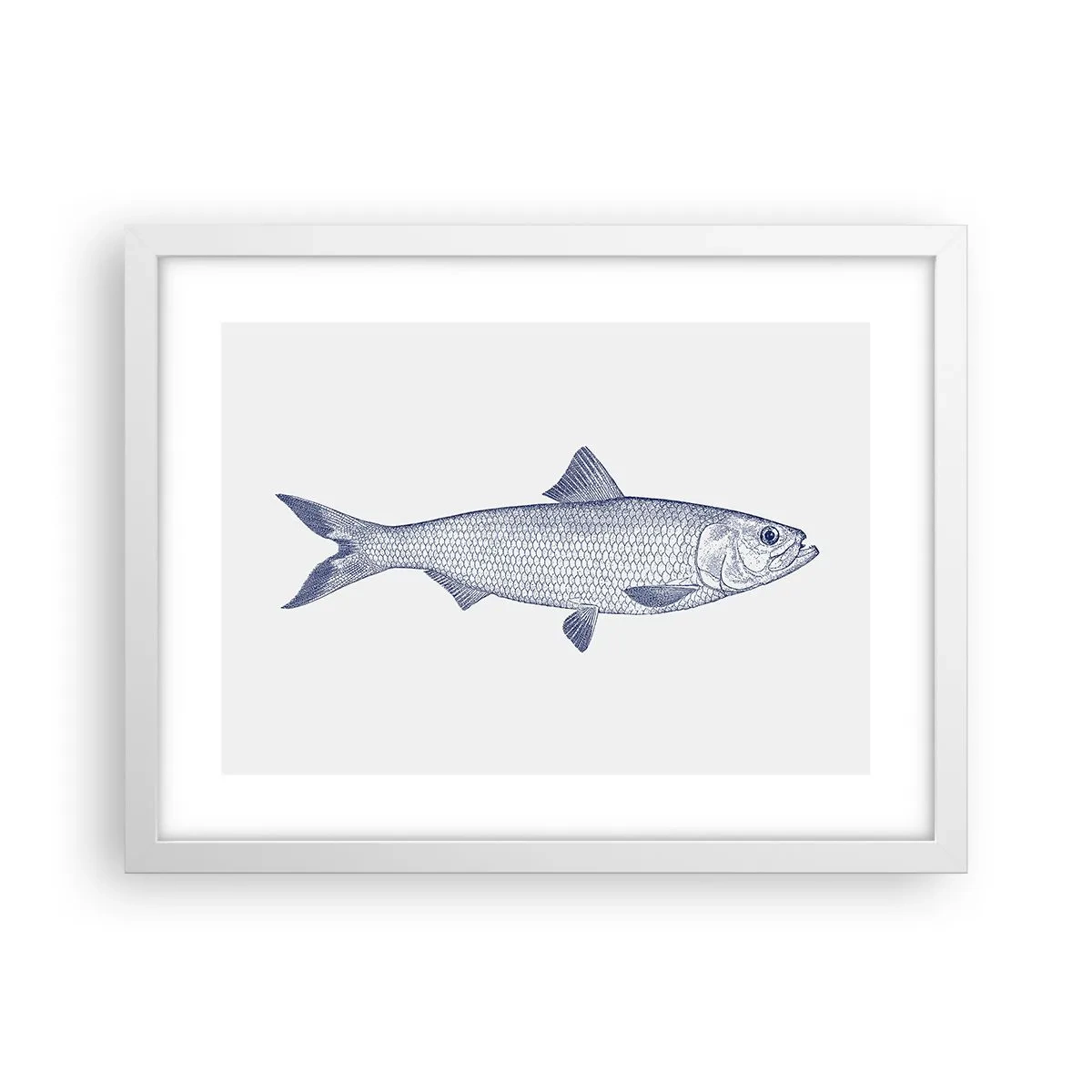 Plakát v bílém rámu - Pozdravy ze severních moří - 40x30 cm