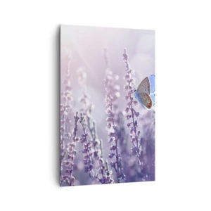 Obraz na plátně - Polibek motýla - 80x120 cm