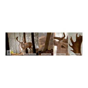 Vzor Fototapety Samolepicí Deluxe Sticker - Světlo mládí - Zvířata, Jelen, Les - 100x30 cm
