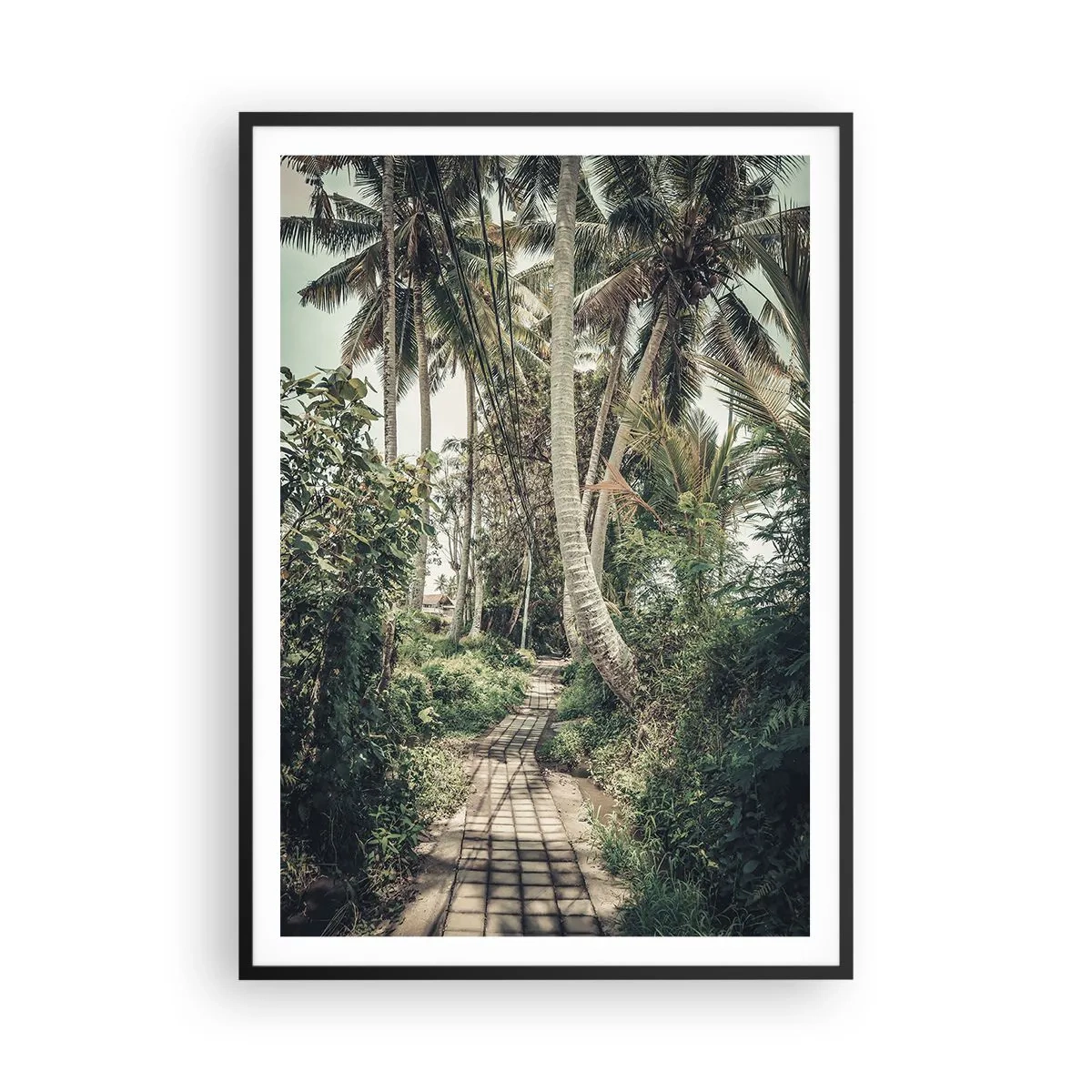 Plakát v černém rámu - Palmová alej - 70x100 cm