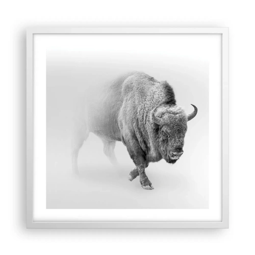 Plakát v bílém rámu - Král prérie - 50x50 cm