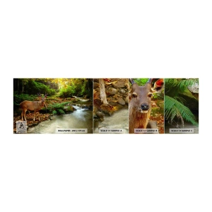 Vzor Fototapety Premium Canvas - Vítám v mém světě - Krajina, Zvířata, Jelen - 100x30 cm