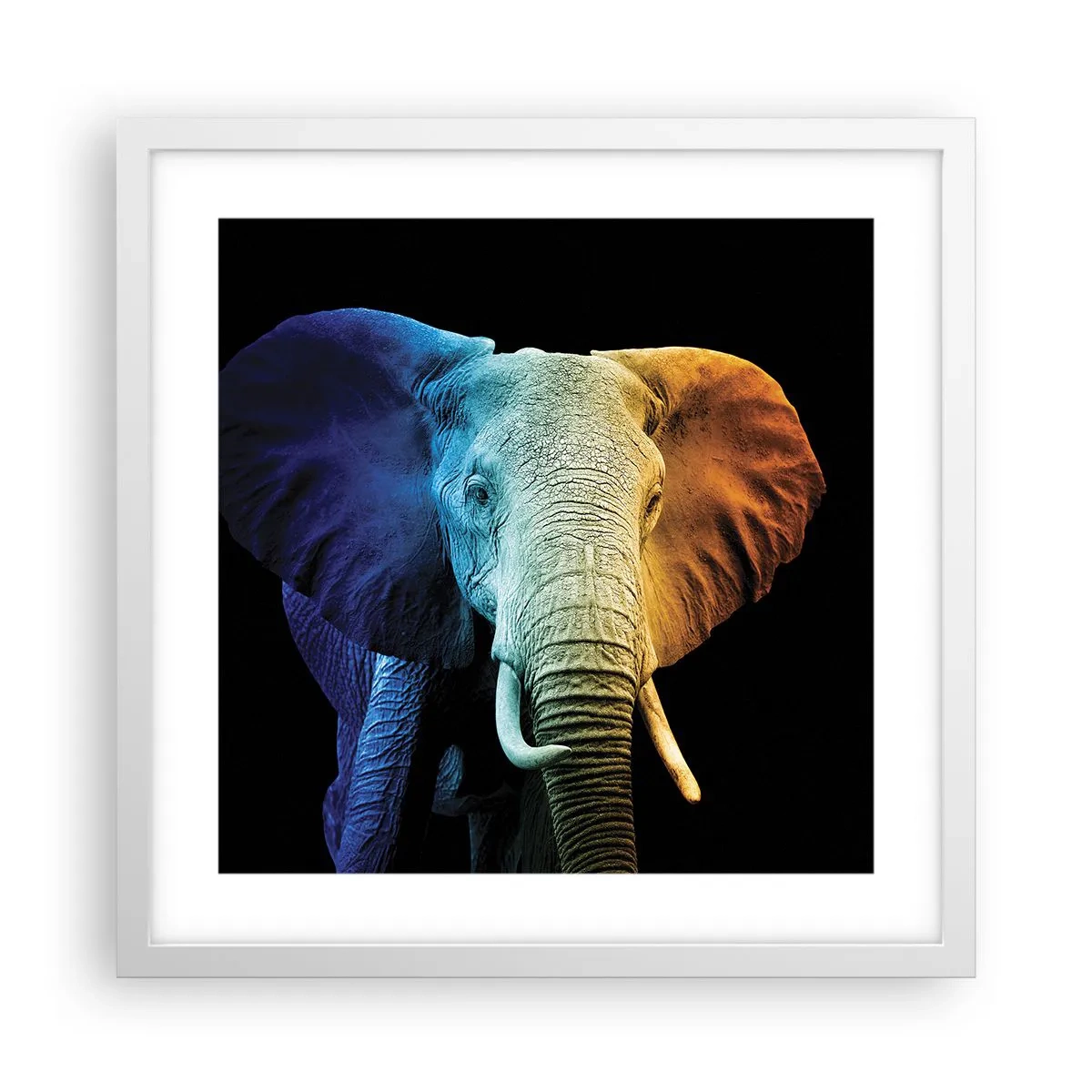 Plakát v bílém rámu - Výstřední muž, ale ne podivín - 40x40 cm