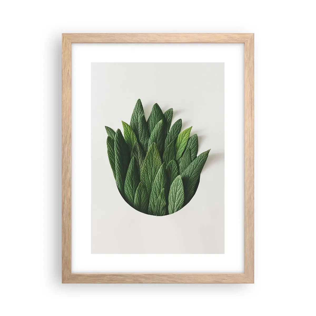 Plakát v rámu světlý dub - Neukojitelná zvědavost - 30x40 cm